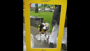 "NGC KÖPEĞİNİZLE BERABER FOTOĞRAFINIZI ÇEKİYOR VOL.2" ETKİNLİĞİ FOTOĞRAFLARI BEBEK PARKI