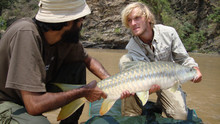 Return of Fishzilla! photo
