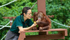 Enchanting Apes
