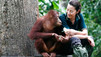 Enchanting Apes