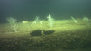 Gallipoli, misteri in fondo al mare
