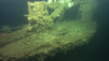 Gallipoli, misteri in fondo al mare