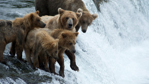 Expedition Wild con Casey Anderson foto