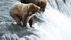 Expedition Wild con Casey Anderson