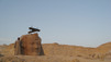 Egypts underverden