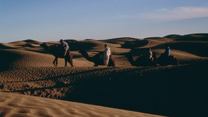 SAHARA: JENNIS DANS