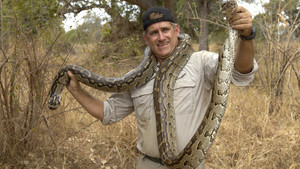 L'attaque du python photo