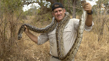 L'attaque du python photo