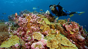national geographic most amazing photos national geographic most amazing photos