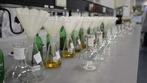 Heineken Bilde