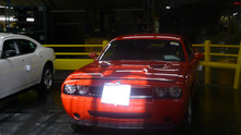 Dodge Challenger photo
