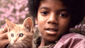 Pop star and his Chimp photo