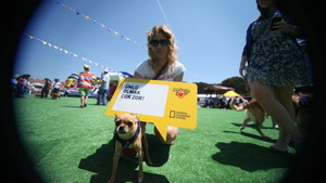 PETFEST 2011 / 5 HAZİRAN - DÜŞÜNCE BALONLARI