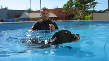 Dog Whisperer 3 Episodes 6-10 photo