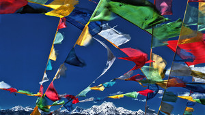 Himalaya photo