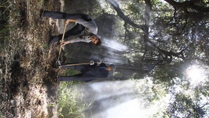 Alkatraz fotoğraf