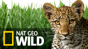 National Geographic Wild