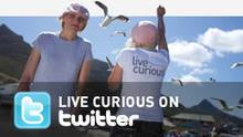 Curiosando su Twitter