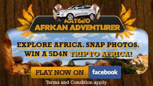 Hyundai Wild Africa Facebook game