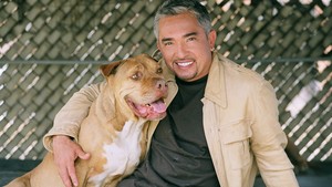 Cesar Millan op 21 mei in Ahoy Rotterdam!