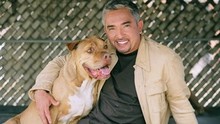 Cesar Millan op 21 mei in Ahoy Rotterdam!