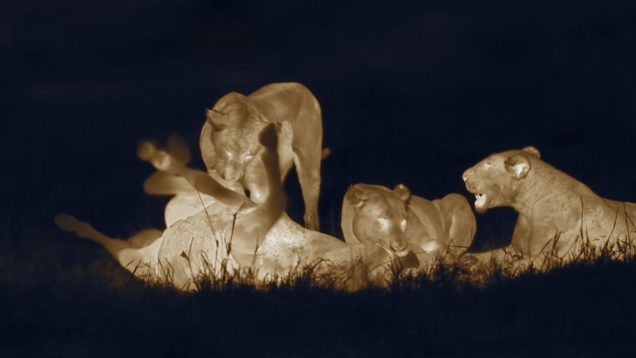 http://media.natgeotv.com/ShowHubs/106.jpg