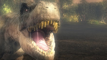 Jurassic C.S.I. Programm