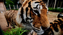 Zoo je můj život pořad