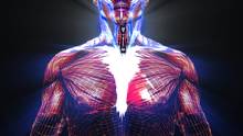 Ai Confini della Scienza programma