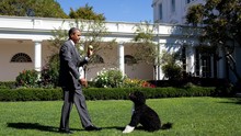White House Through The Lens Programma