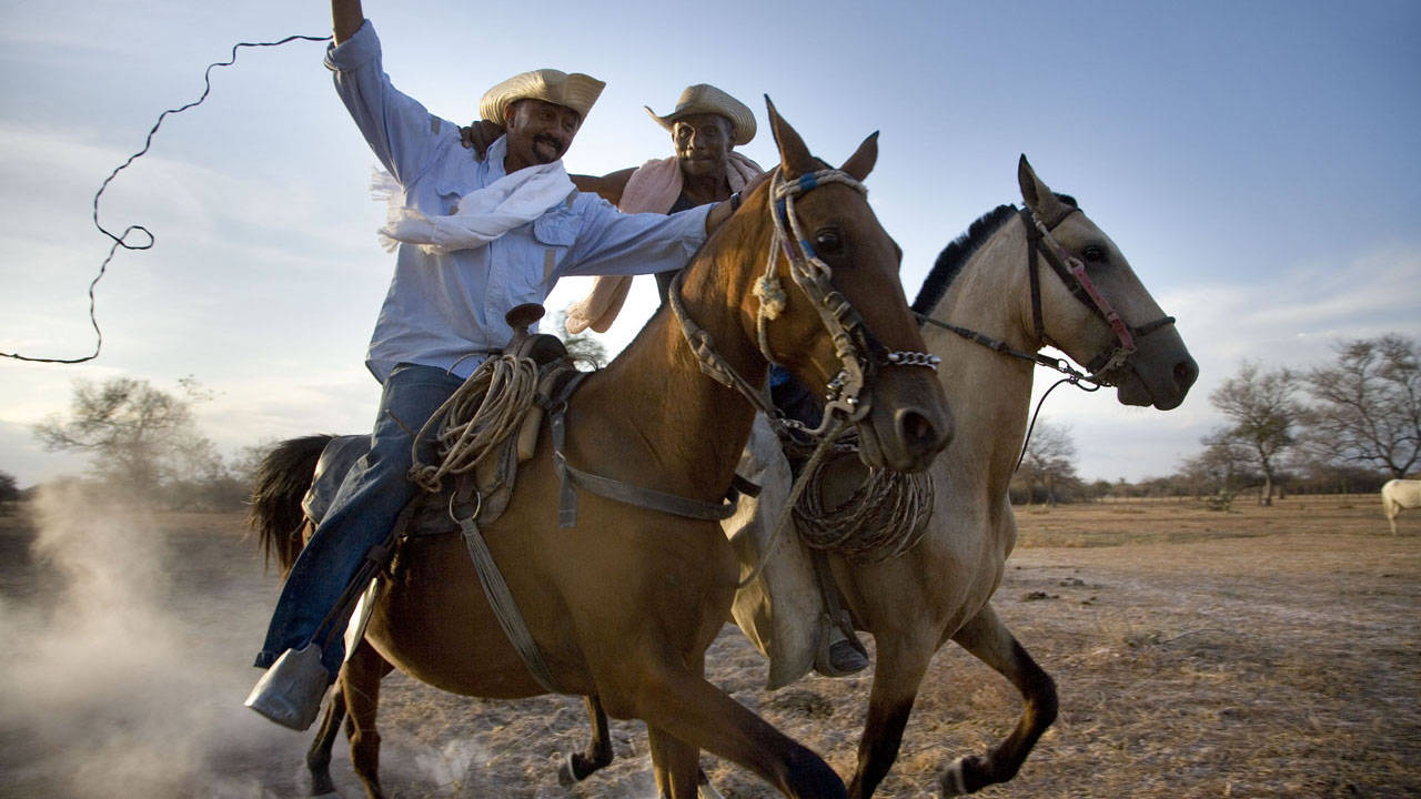 http://media.natgeotv.com/Shows/1129.jpg