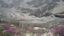 Lonely Planet - Ab vom Schuss Programm