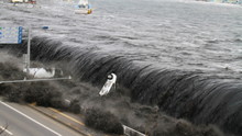 Witness: Japan Disaster Programma