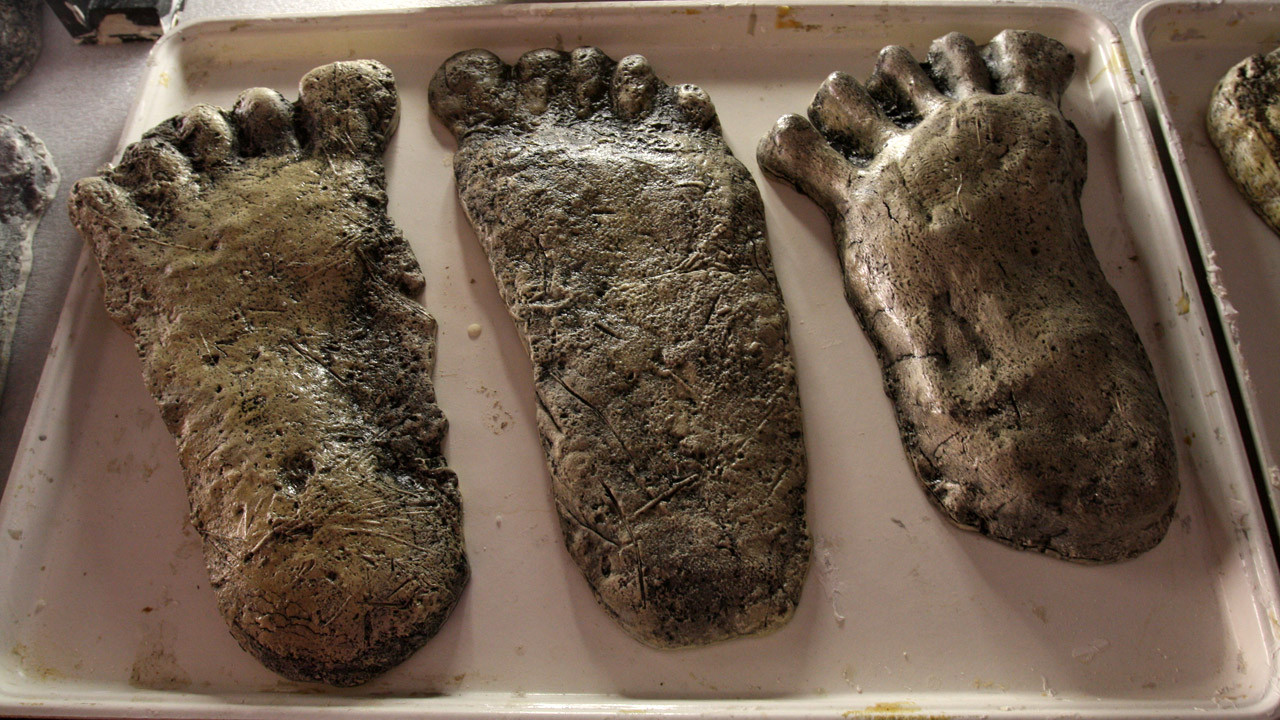 http://media.natgeotv.com/Shows/12059.jpg