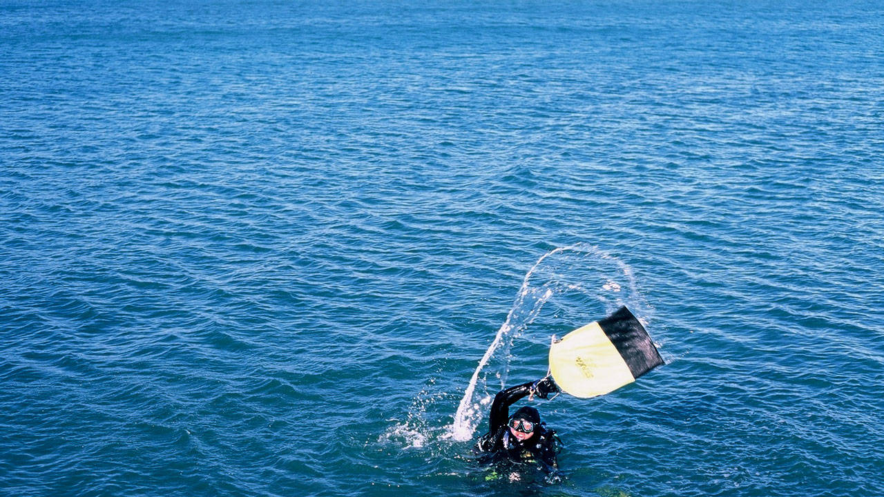 http://media.natgeotv.com/Shows/1288.jpg