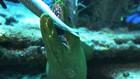 Hunters Of The Deep: Episode 999