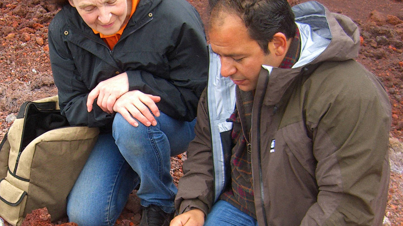 http://media.natgeotv.com/Shows/1297.jpg