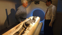 King Tut's Curse show