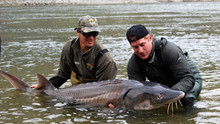 Dangerous Encounters show