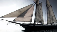 Les pirates de Benjamin Franklin Voir la fiche programme
