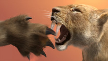 When Continents Collide show