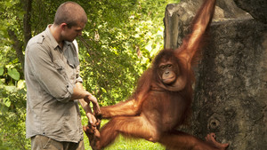 Panasonic Presents: Beast Hunter: Apeman of Sumatra show