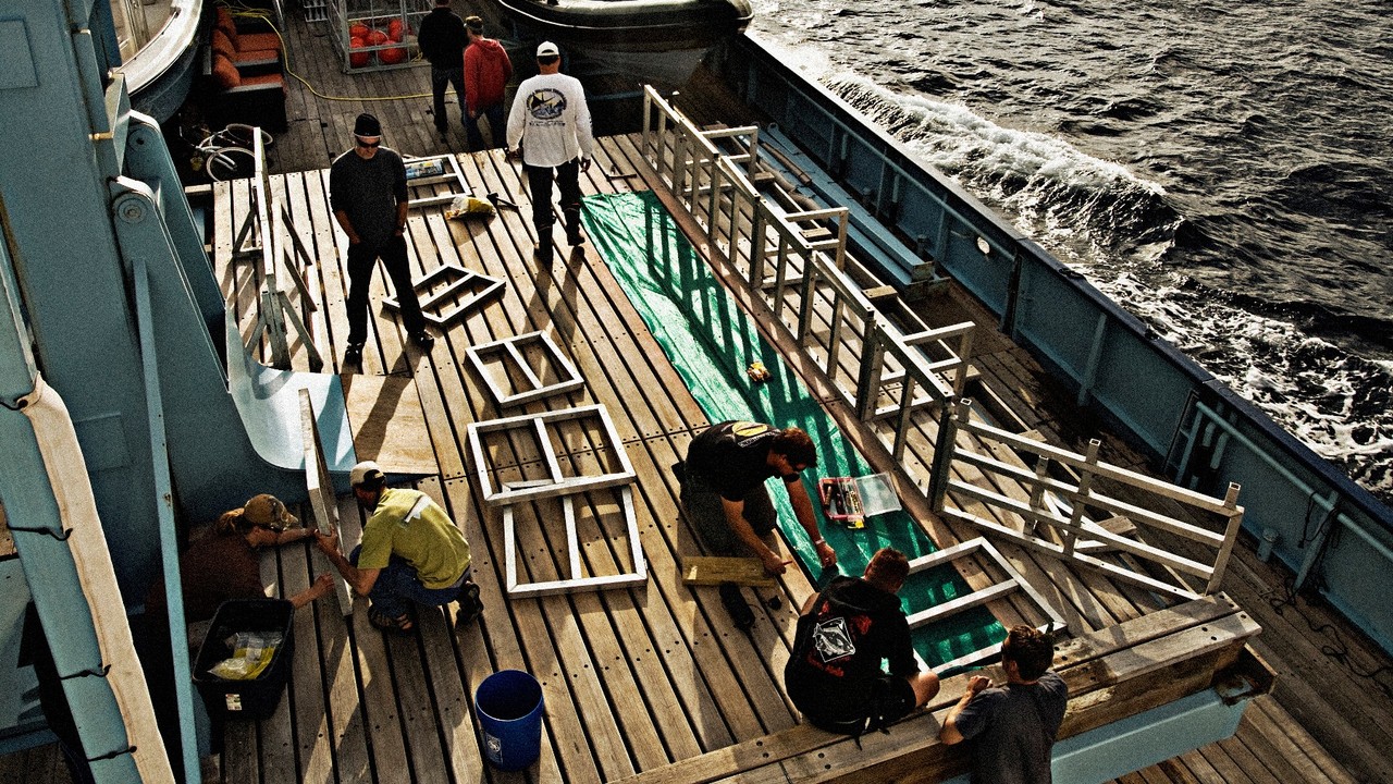 http://media.natgeotv.com/Shows/1461.jpg