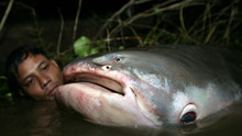 Auf der Suche nach dem Monsterfisch Programm