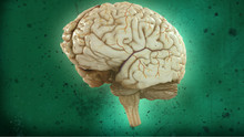 Brain Games Voir la fiche programme