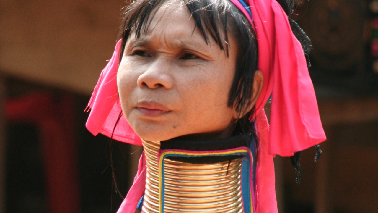 http://media.natgeotv.com/Shows/14994.jpg