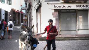 O Caminho de Santiago programa