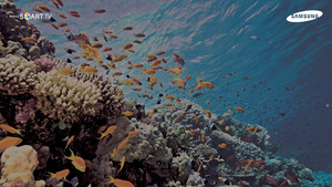 Nat Geo 3D Sayfaya Git