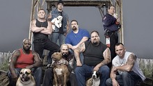 Rescue Ink - Die Tierschützer Programm