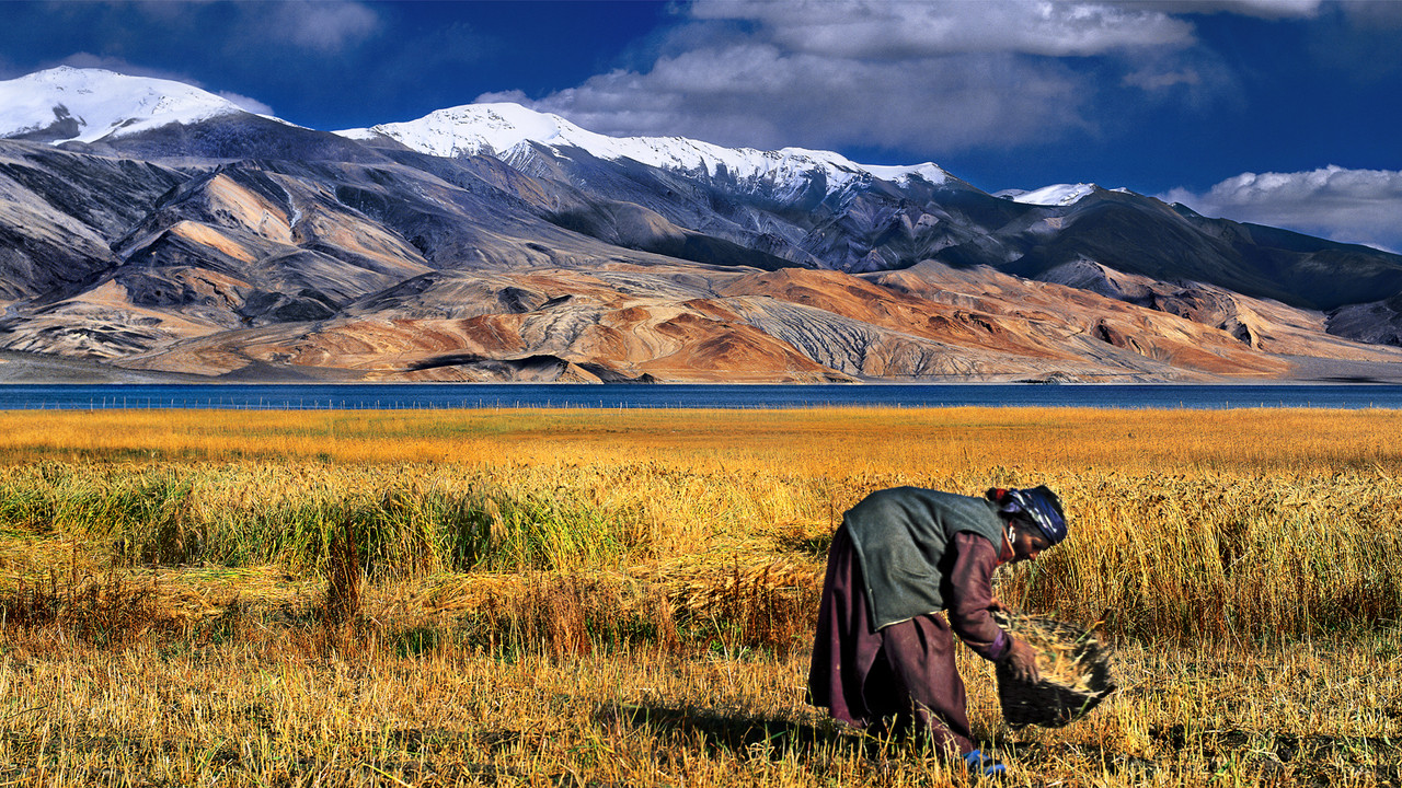 http://media.natgeotv.com/Shows/16532.jpg